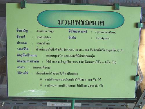 Signboard at the mass rearing facility of the bio-center in Chiang Mai where predatory bugs are produced for farmers.