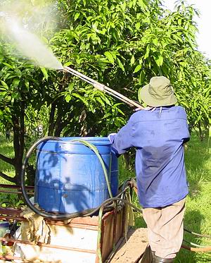 Farmer exposed to pesticide