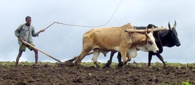 Spreekwoorden en Citaten over Landbouw Spreekwoorden en Citaten over Landbouw